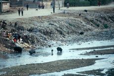 Nepal (51 von 124).jpg